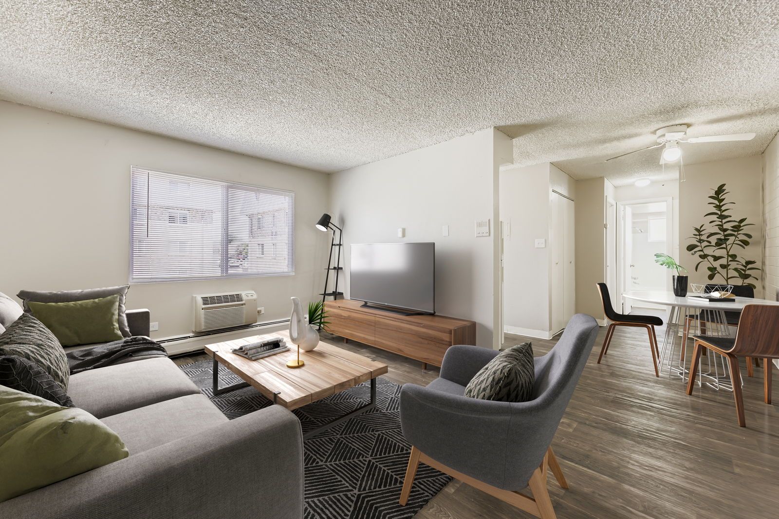 Living room and dining area in an apartment with a gray sofa, armchair, TV on a wooden stand, and dining table.