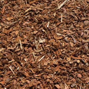 Boomschors Grove den