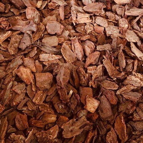 Decor Franse Boomschors