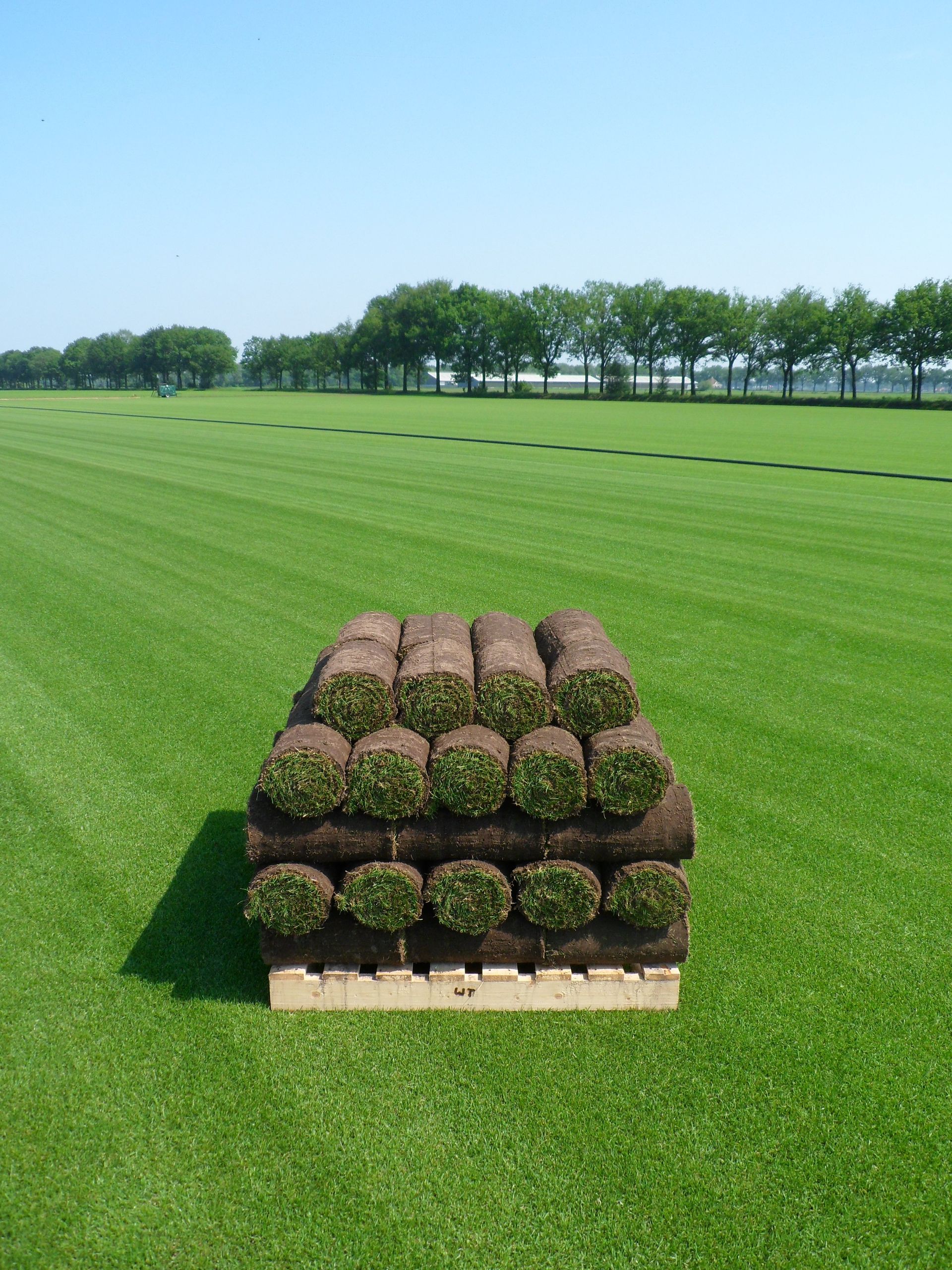 Graszoden Coolgrass (vacuüm gekoeld)