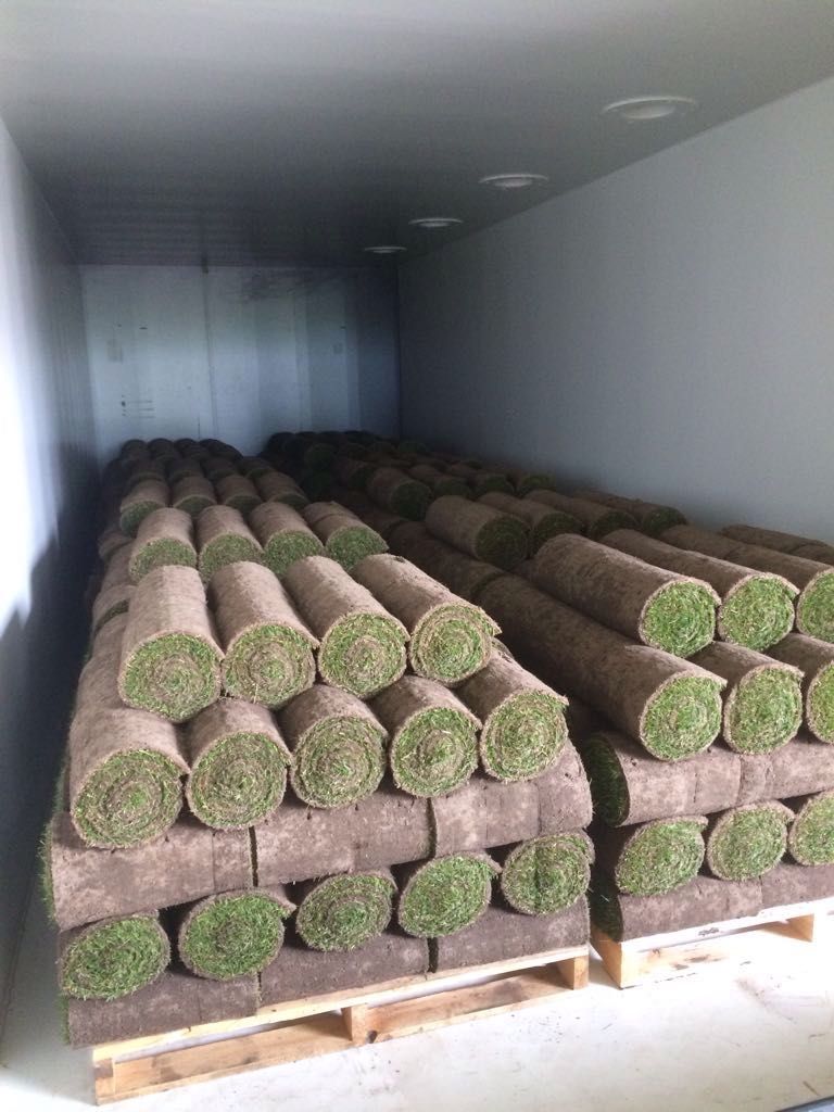 Graszoden Coolgrass (vacuüm gekoeld)