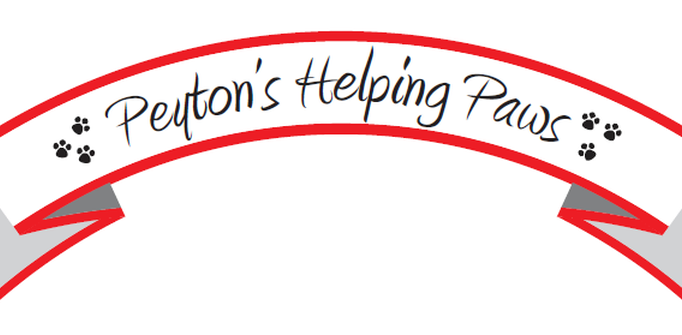 Homeward Bound Horses and Hounds Animal Rescue in Ocala