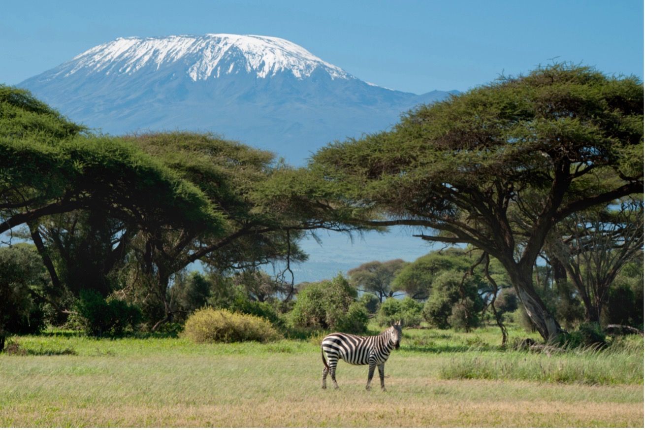 Luxury Focus Safaris - Kenya Explorer - 6 Nights