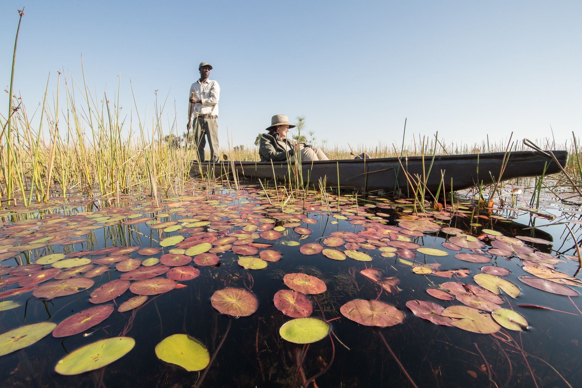 Luxury Focus Safaris - South Africa & Botswana Luxury Safari - 10 Nights