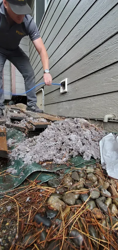 A person cleaning a dryer vent on the side of a house, removing a large pile of lint.