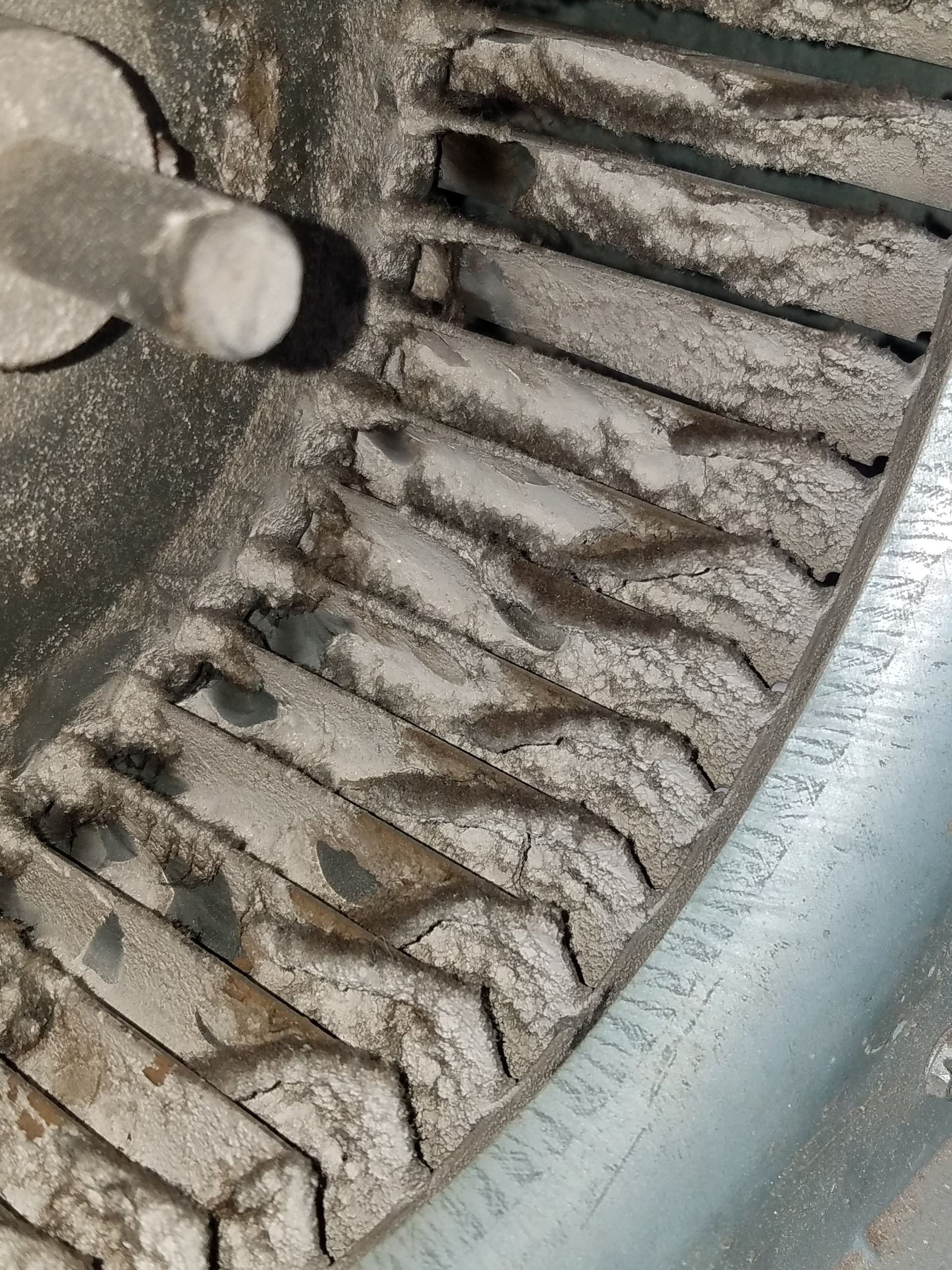 Dusty blower wheel inside an HVAC system.