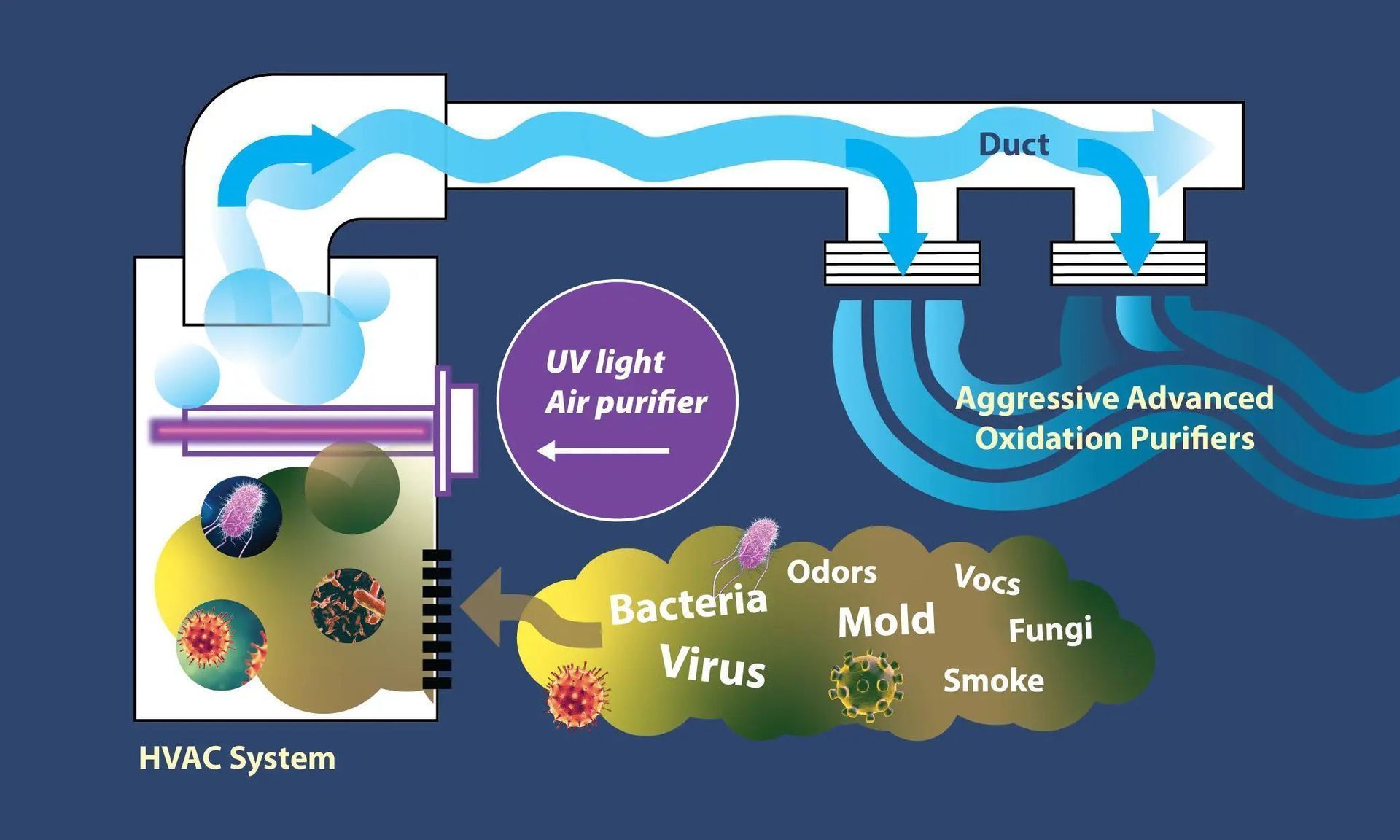 Diagram of an HVAC system with UV light and oxidation purifiers filtering air, removing bacteria, viruses, mold, and smoke.