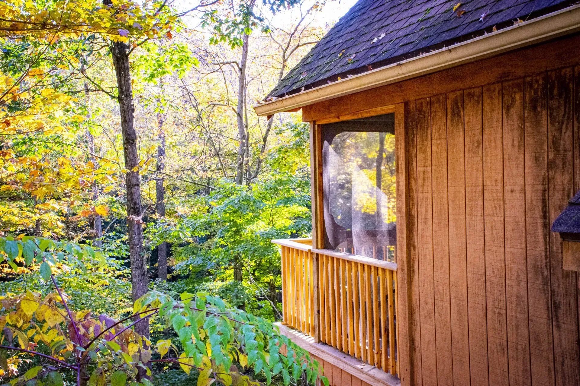 A wooden cabin with a screened-in porch overlooks a lush, vibrant forest during autumn.