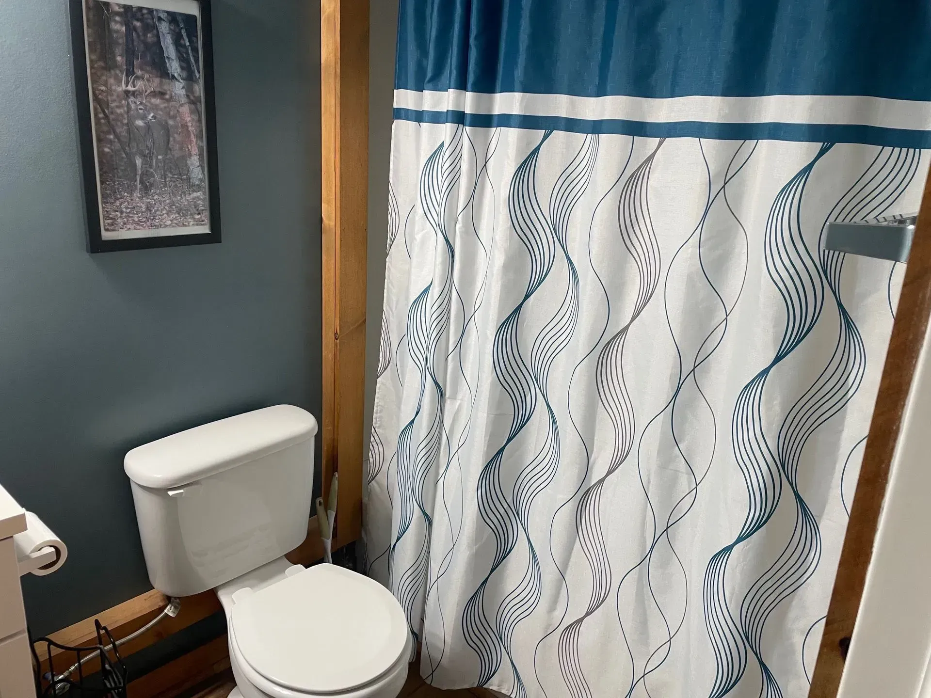 A bathroom with dark blue walls, a white toilet, and a white shower curtain featuring a blue wavy, geometric pattern.