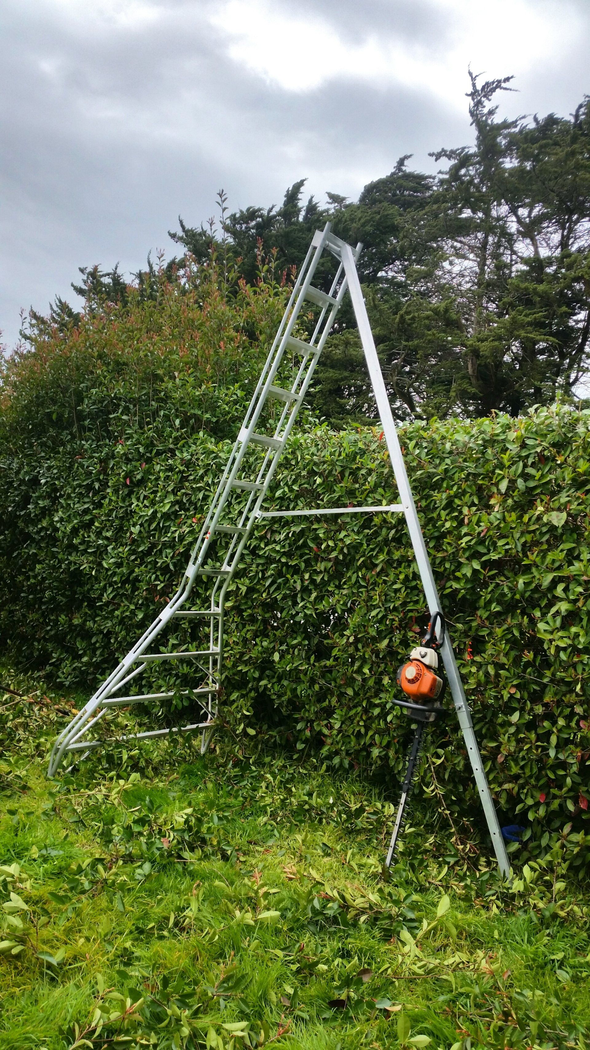 Arborist,tree,chainsaw,tree removal,stump grinding,tree care,pruning,hedge trimming,trimmer tree,tree lopper,wood chipping,mulch,tree surgeon,garden care,site clearance,fully insured arborist service,Inverloch,Wonthaggi,Korumburra