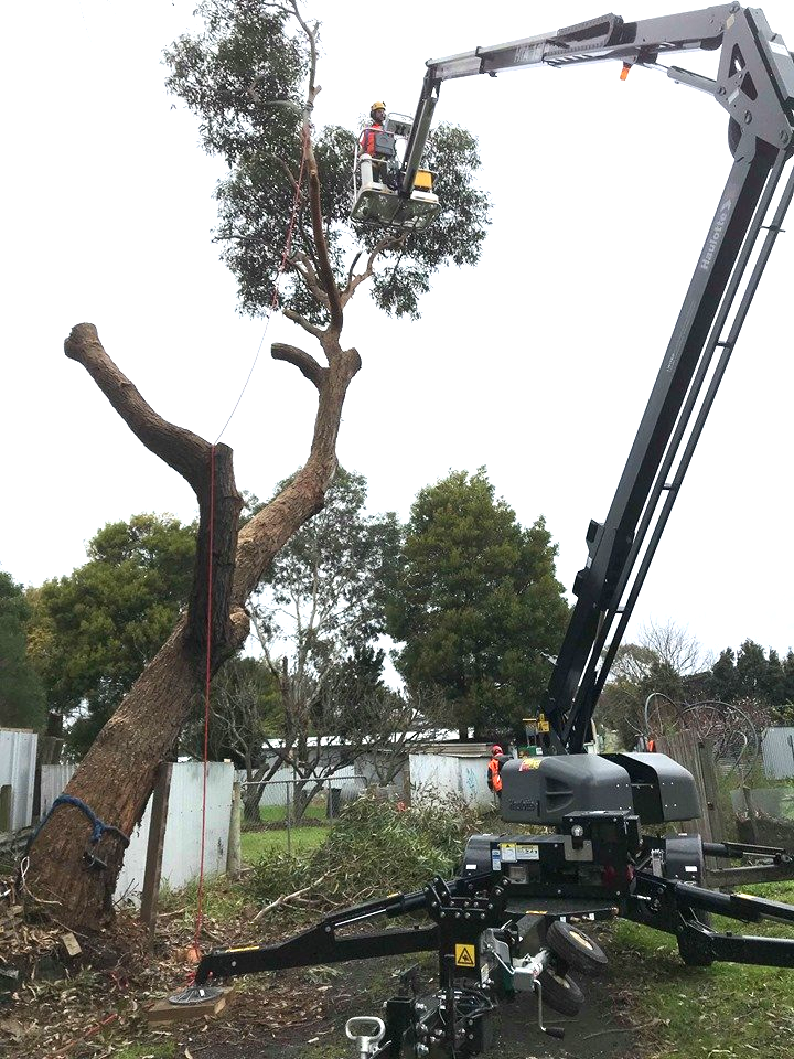 Arborist,tree,chainsaw,tree removal,stump grinding,tree care,pruning,hedge trimming,trimmer tree,tree lopper,wood chipping,mulch,tree surgeon,garden care,site clearance,fully insured arborist service,Inverloch,Wonthaggi,Korumburra