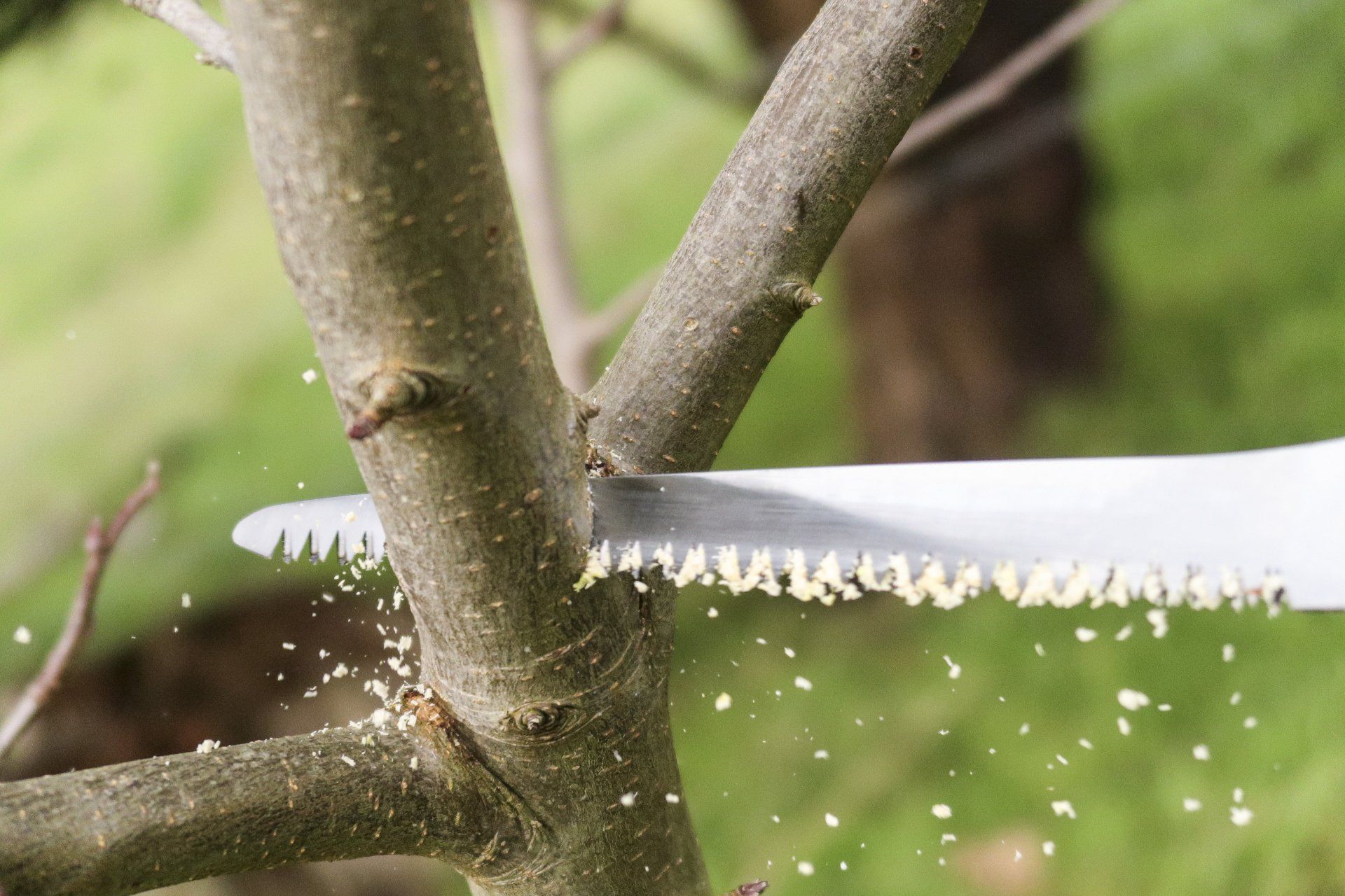 Arborist,tree,chainsaw,tree removal,stump grinding,tree care,pruning,hedge trimming,trimmer tree,tree lopper,wood chipping,mulch,tree surgeon,garden care,site clearance,fully insured arborist service,Inverloch,Wonthaggi,Korumburra