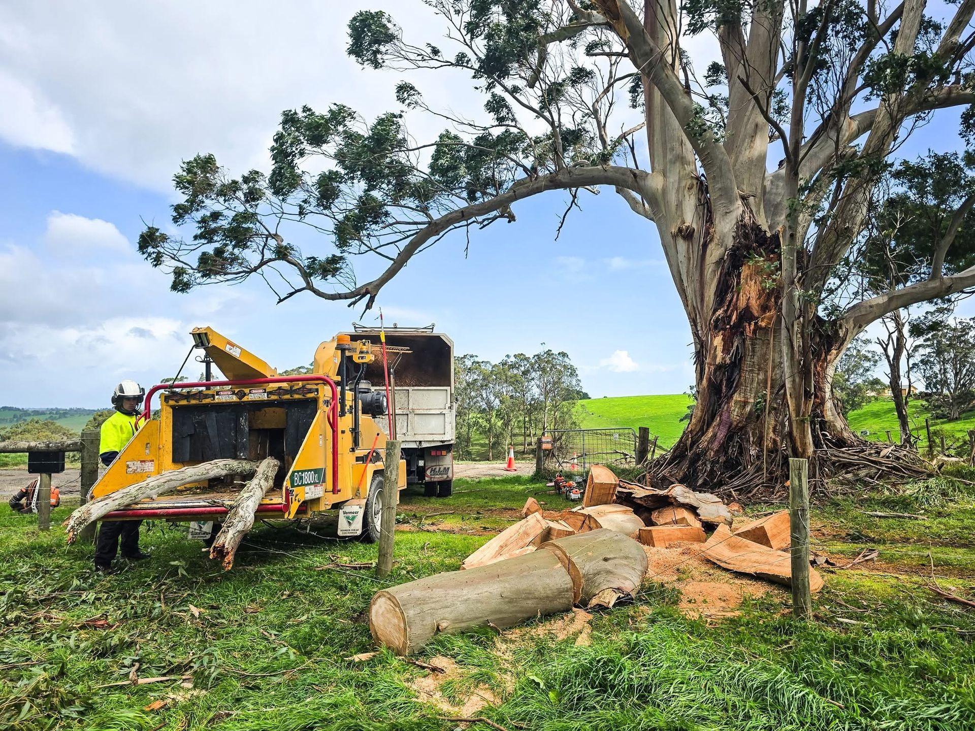 Arborist,tree,chainsaw,tree removal,stump grinding,tree care,pruning,hedge trimming,trimmer tree,tree lopper,wood chipping,mulch,tree surgeon,garden care,site clearance,fully insured arborist service,Inverloch,Wonthaggi,Korumburra