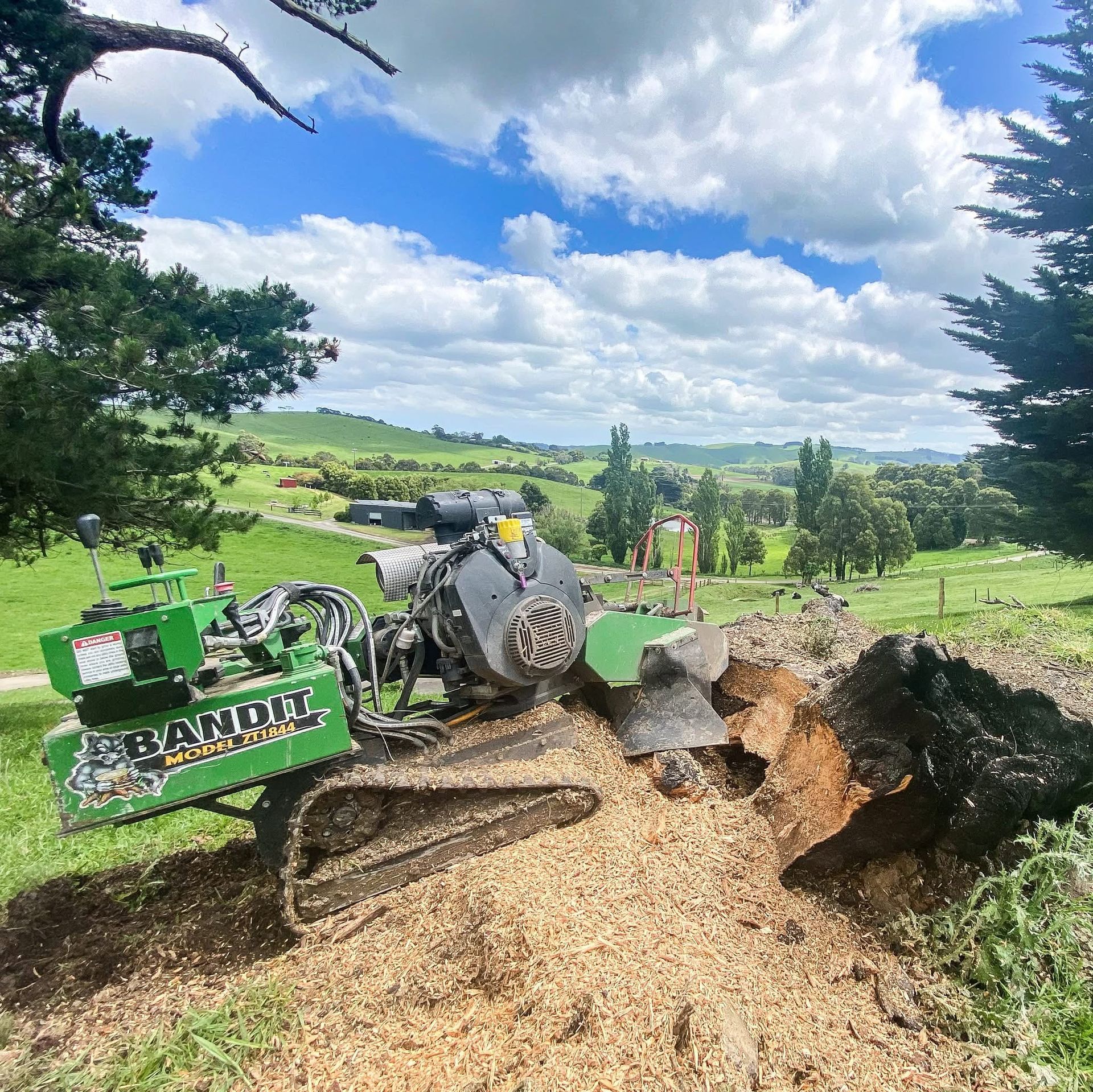 Arborist,tree,chainsaw,tree removal,stump grinding,tree care,pruning,hedge trimming,trimmer tree,tree lopper,wood chipping,mulch,tree surgeon,garden care,site clearance,fully insured arborist service,Inverloch,Wonthaggi,Korumburra