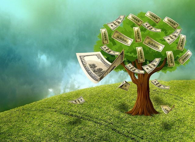 How to save money on tree work