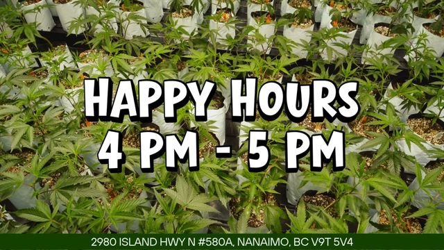Nanaimo Cannabis Dispensary | Superbud Cannabis Store BC