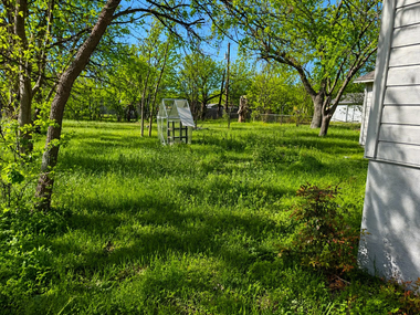 Sunny orchard with green grass, trees, and a small white sign near a building wall