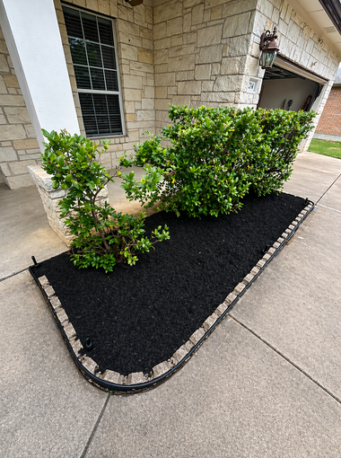 Black mulch bed with green shrubs along a stone building and sidewalk corner
