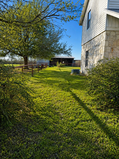Sunlit grassy yard beside a stone house, with a leafy tree and a small barn in the distance.