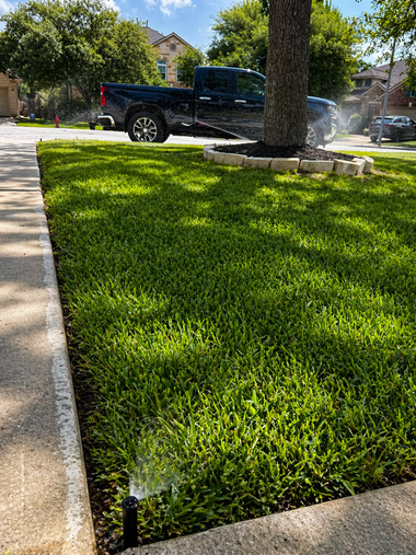 Front yard with bright green lawn, a black pickup truck, and a sprinkler spraying near a tree.