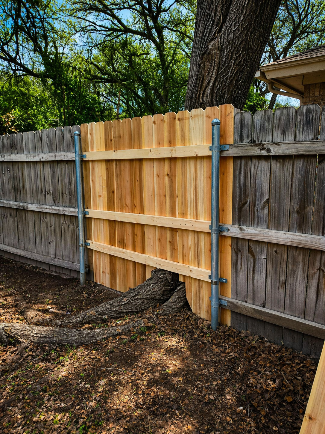 Wooden privacy fence panel with a gate section beside a large tree trunk in a yard