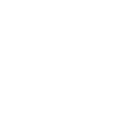 Icona - Assistenza e manutenzione