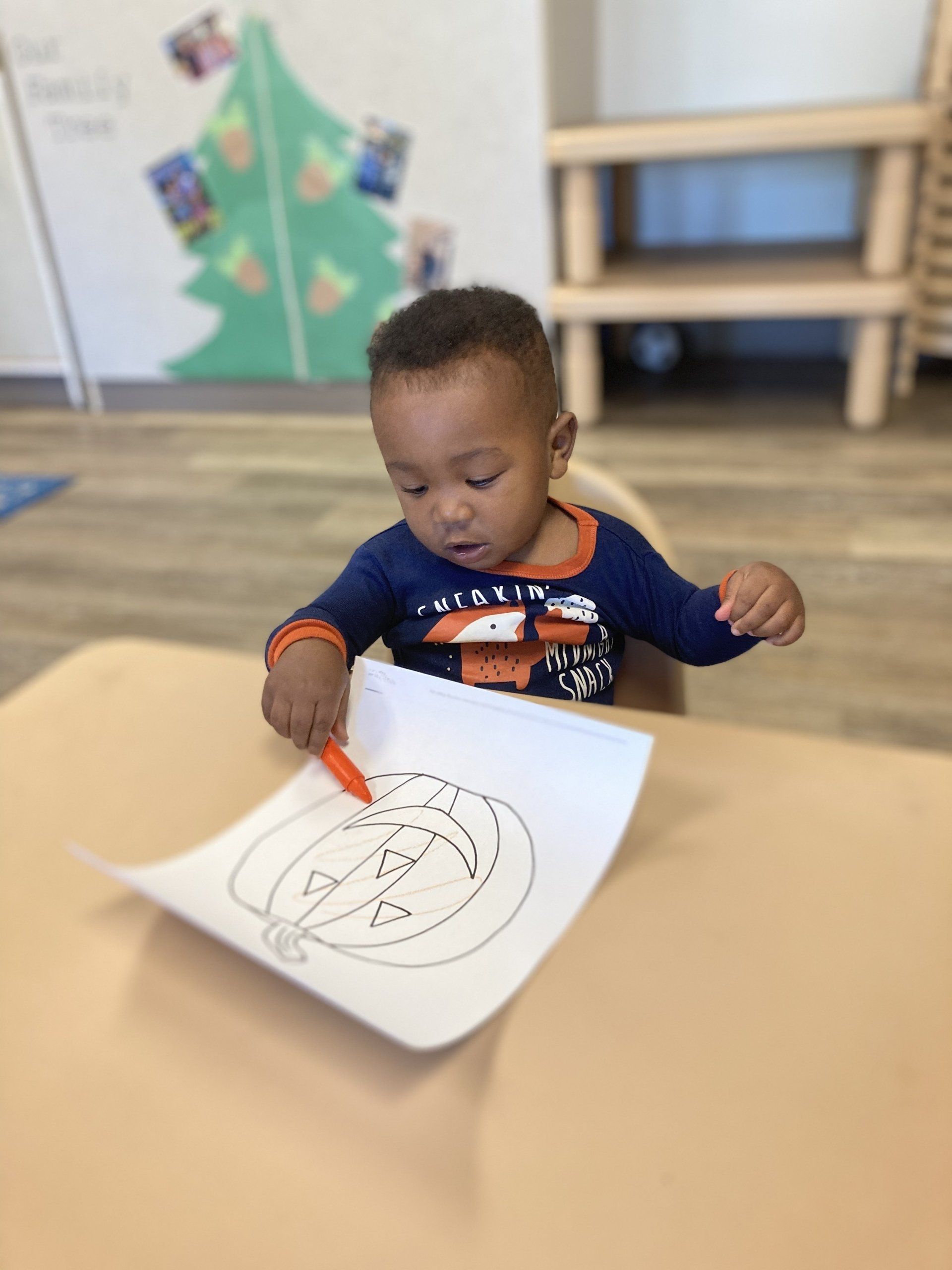 Montessori Waddler Program