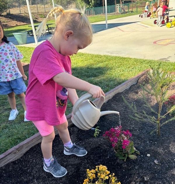 A Montessori child is watering flowers with a watering can