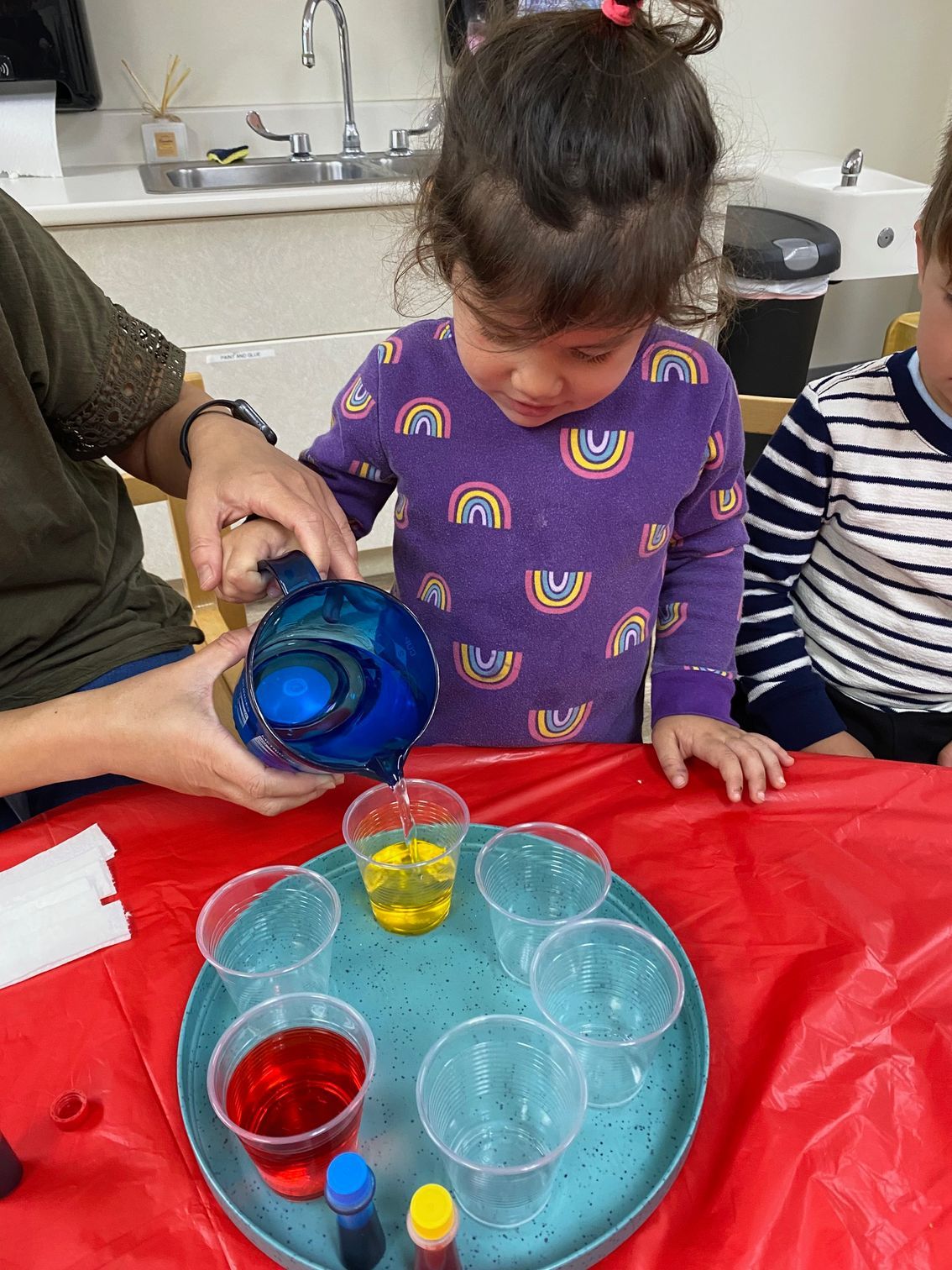 Montessori child is working in a science task with a Montessori guide