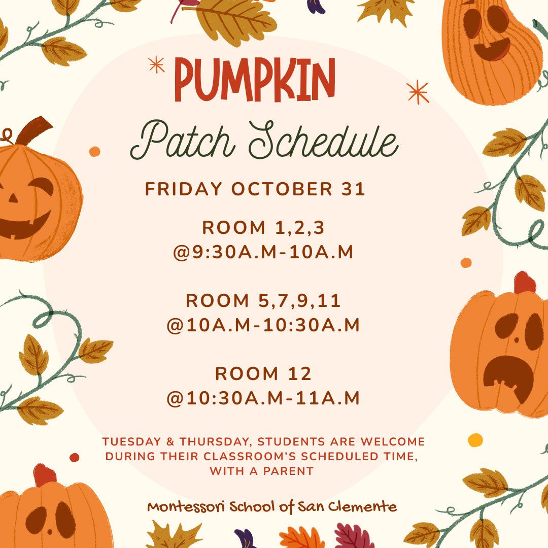 Pumpkin Patch