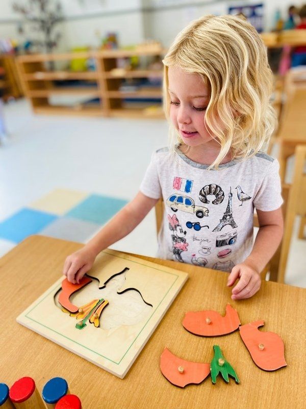 Montessori Primary Program