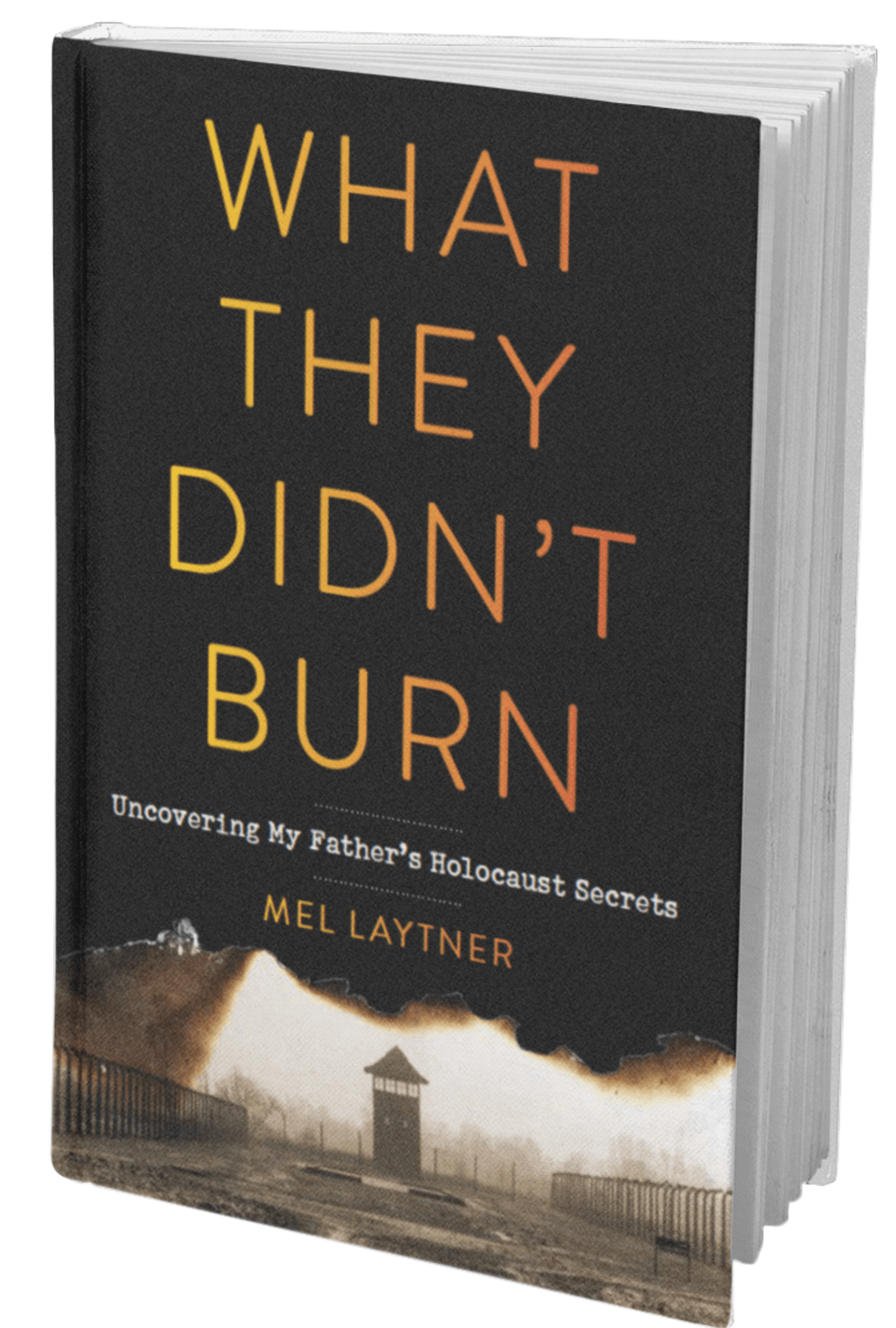 What  They Didn't Burn by Mel Laytner