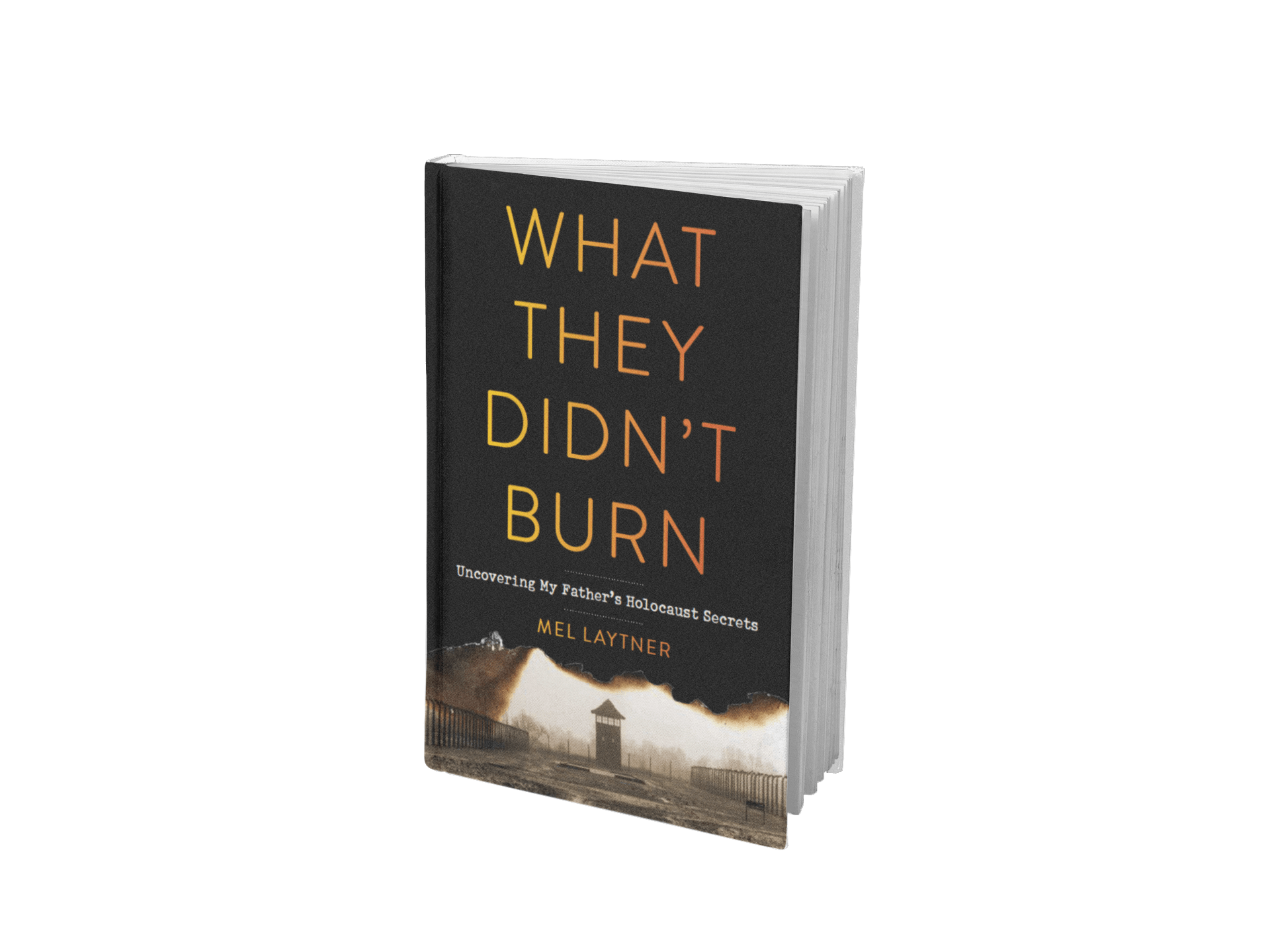 What They Didn't Burn by Mel Laytner