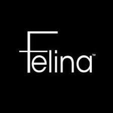 apparel inventory software review from Felina