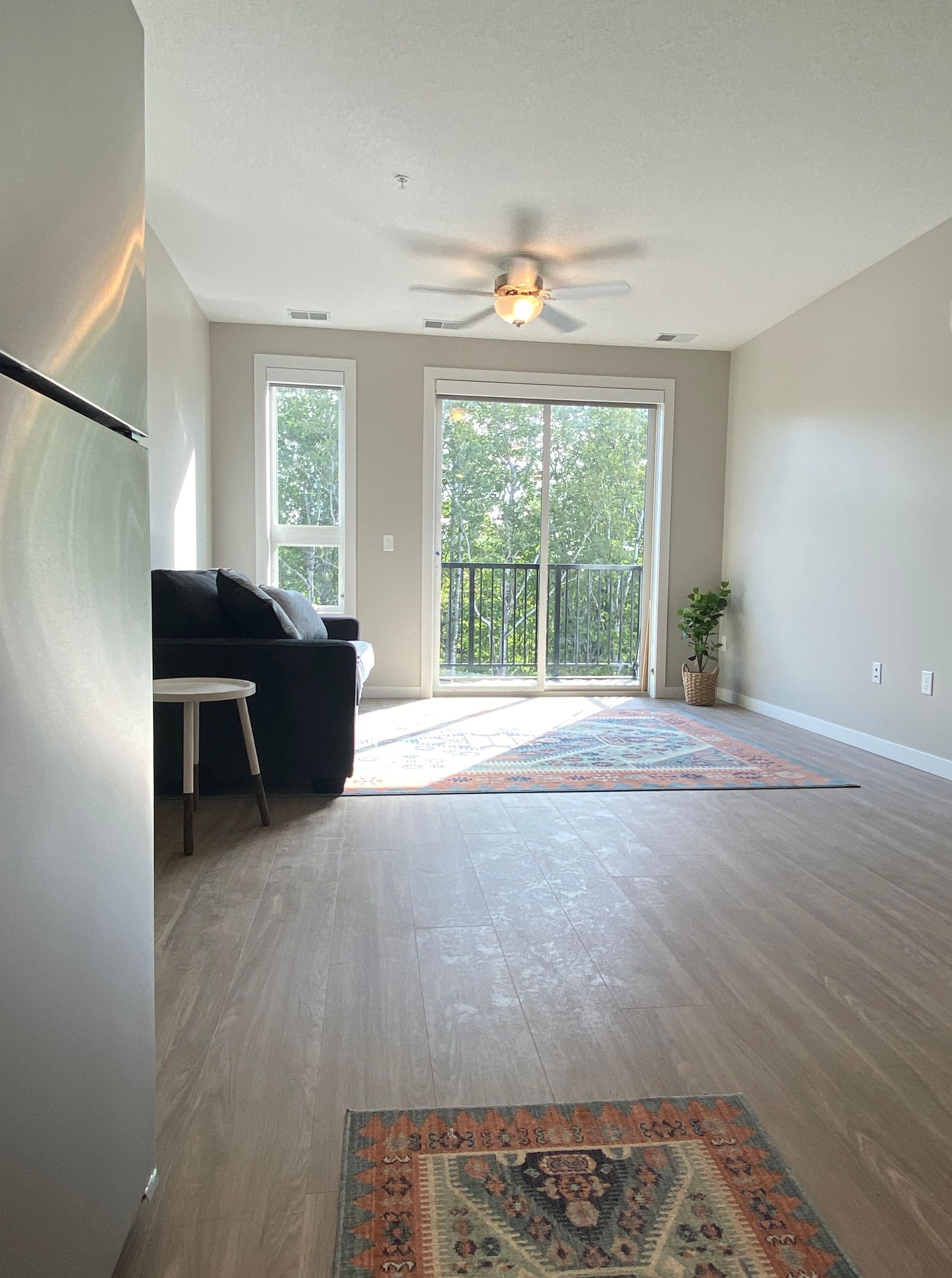 an empty living room with a couch , rug and ceiling fan .