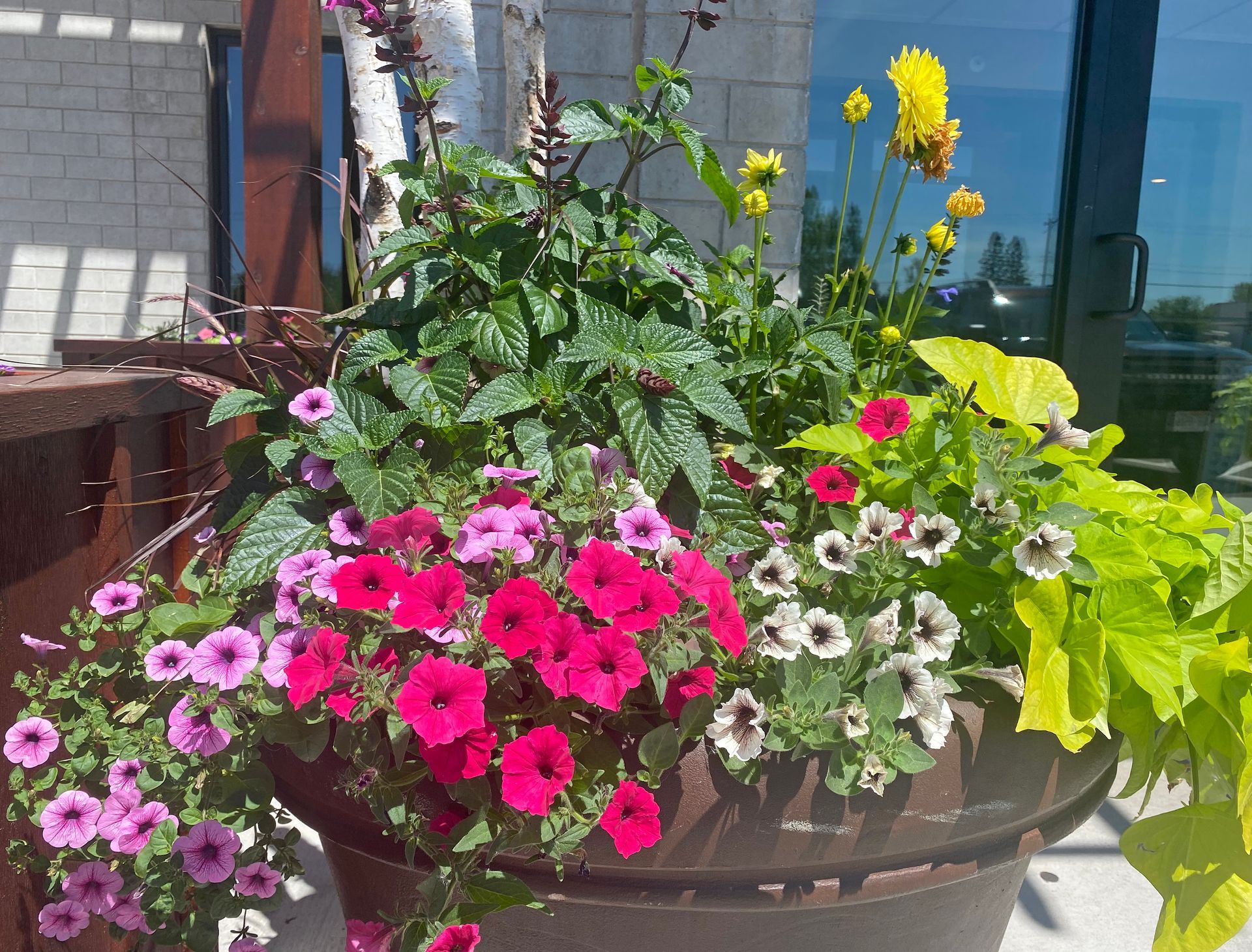 a planter filled with pink and white flowers and green leaves