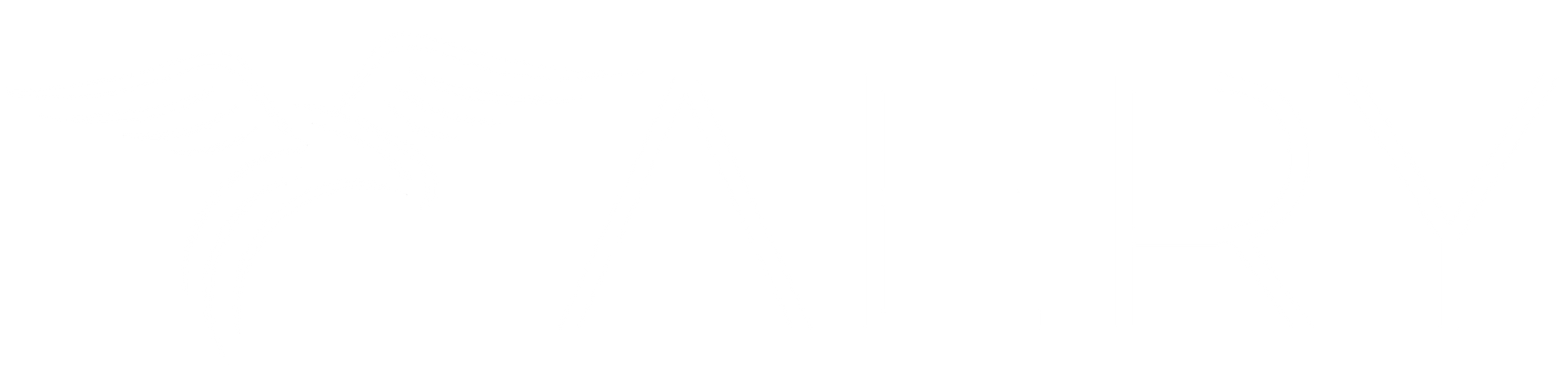 Aery logo White