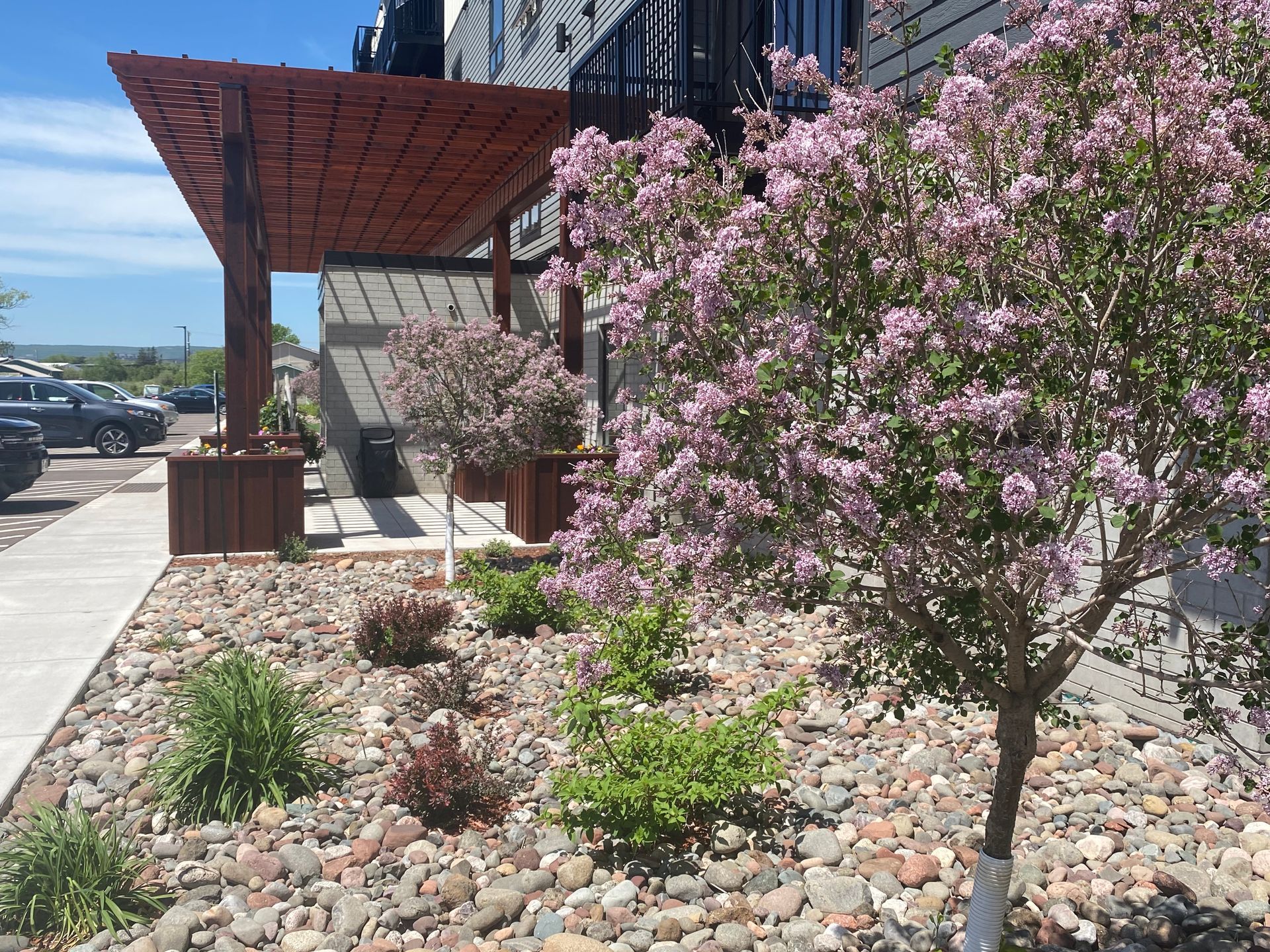 a tree with purple flowers is in front of a building .