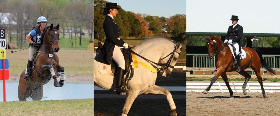 a collage of three pictures of people riding horses