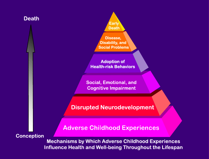 Effects of Adverse Childhood Experiences (ACE) chart - Life Reclamation