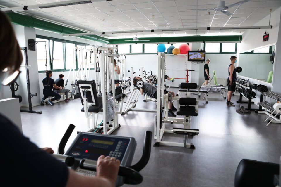 palestra del centro