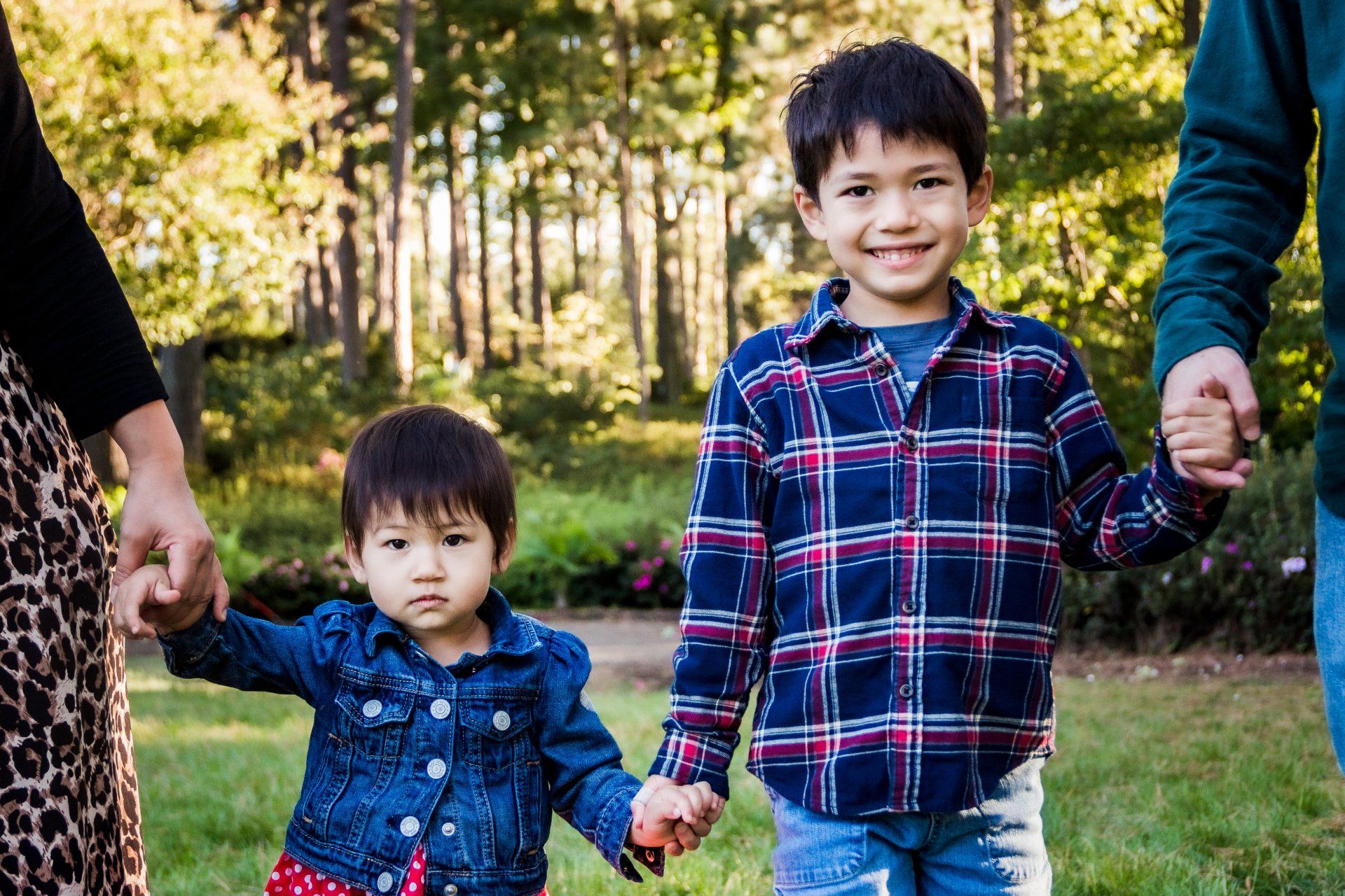 A family is holding hands in a park.