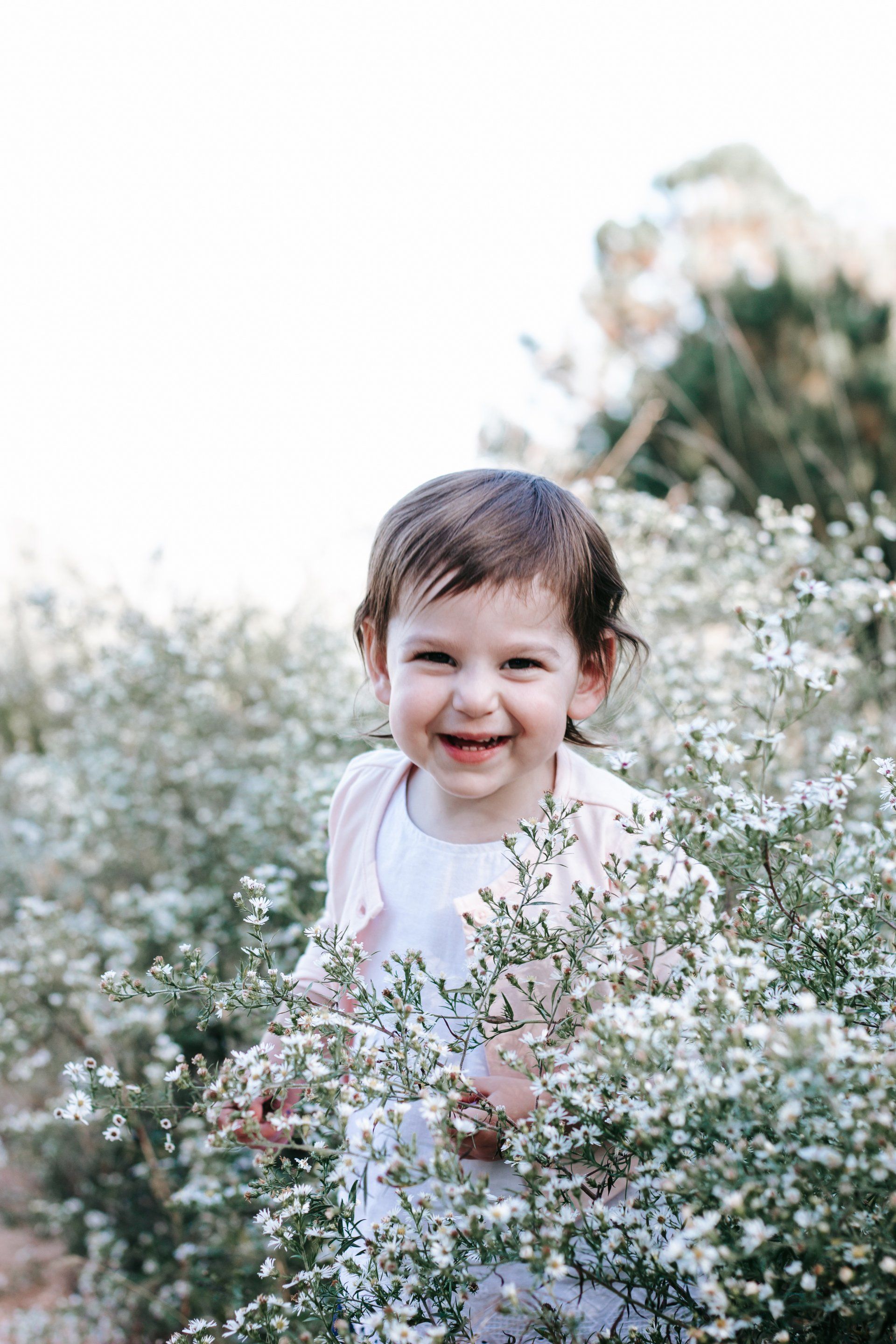 A little girl is standing in a field of white flowers.