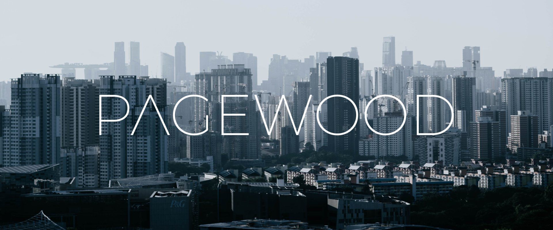 A city skyline with the word pacewood in the foreground