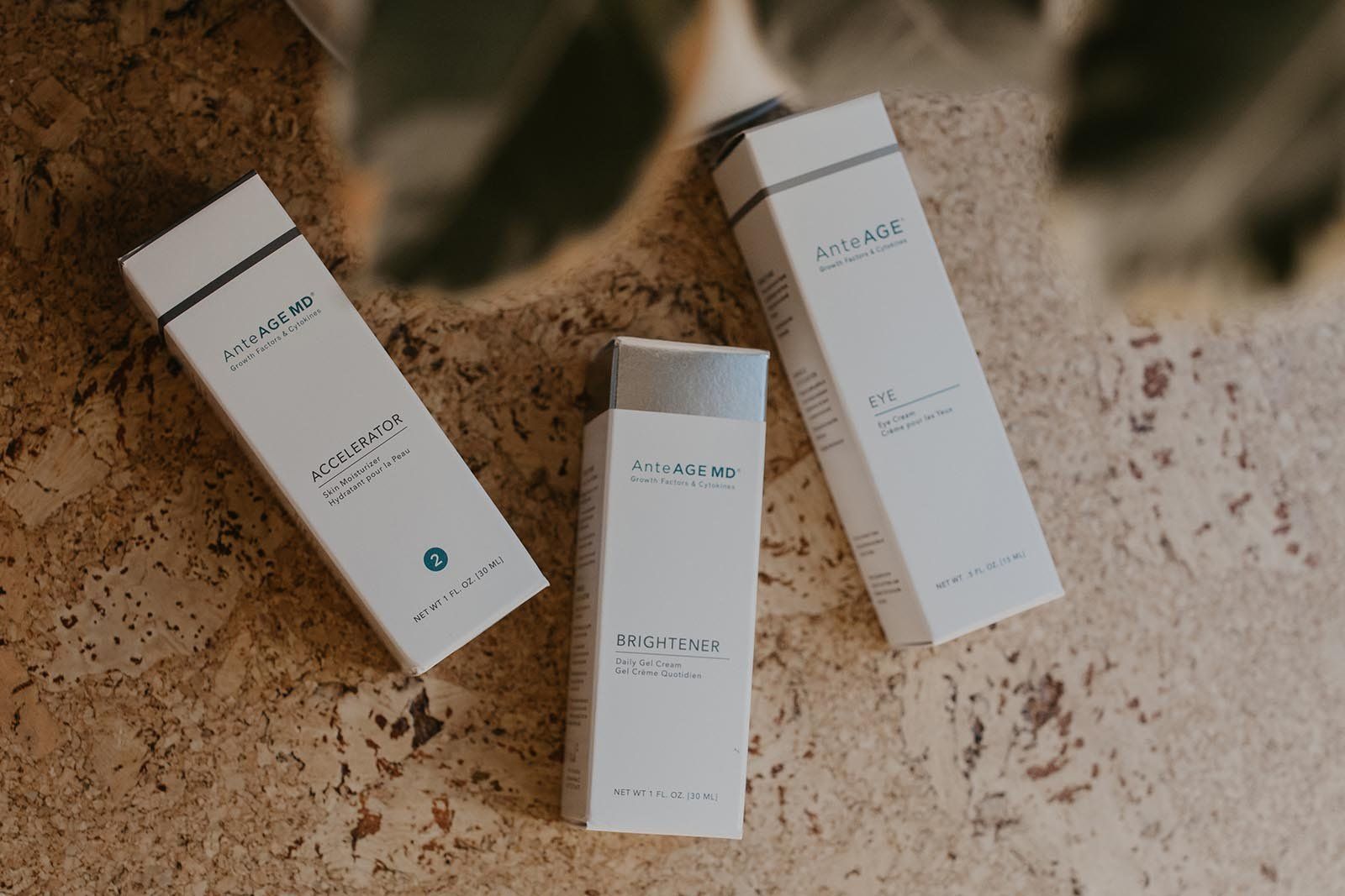 Three white skincare product boxes on textured sand with beige foliage backdrop
