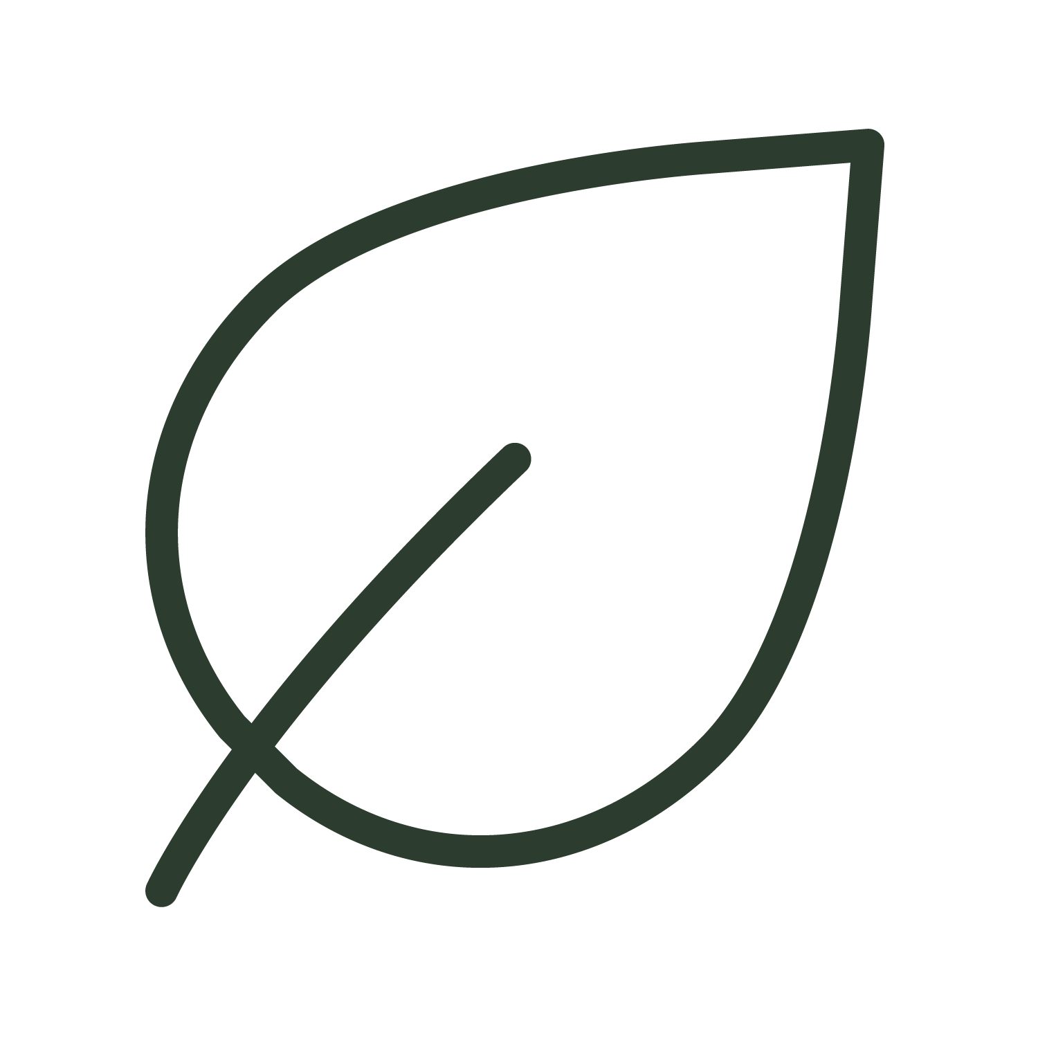 A green line drawing of a leaf on a white background.