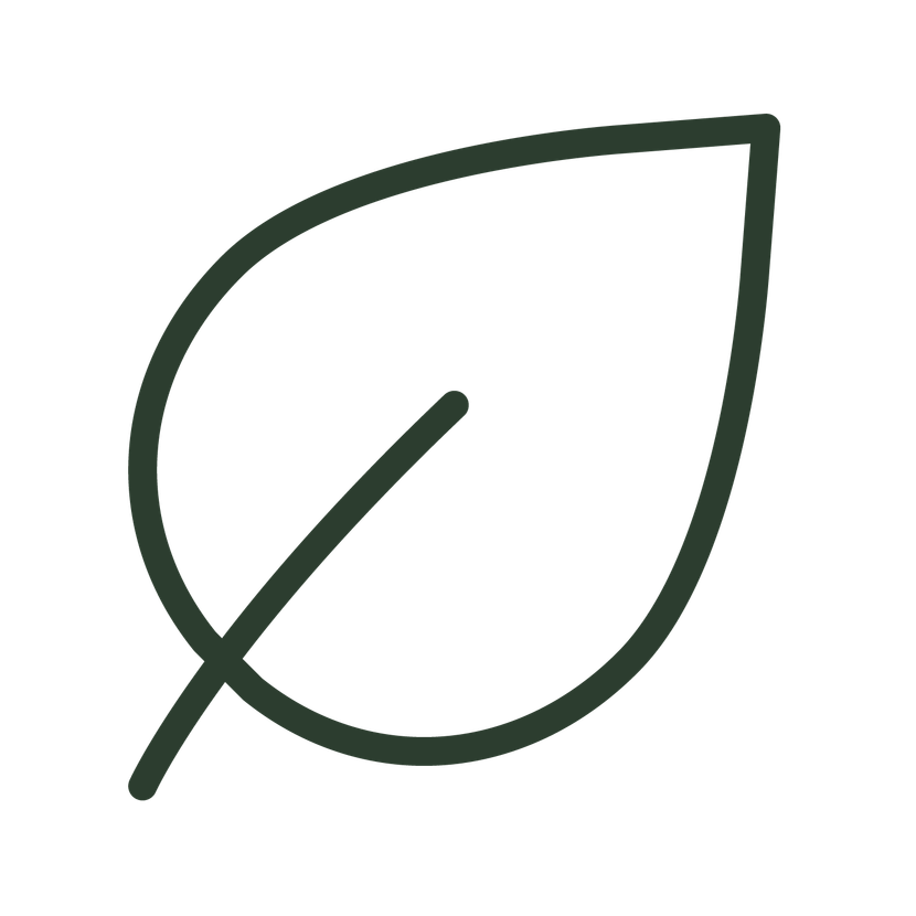 A green line drawing of a leaf on a white background.