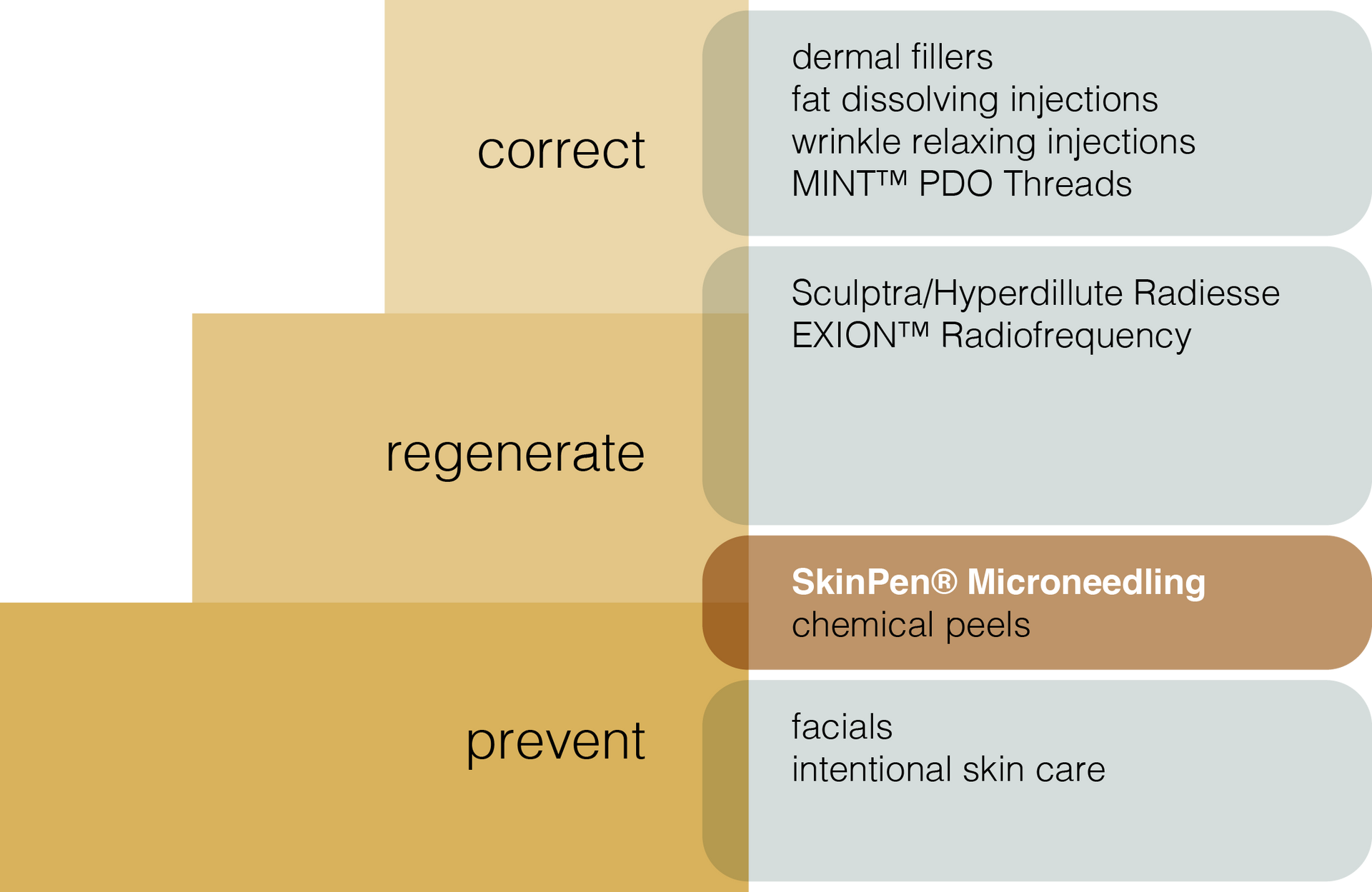 A diagram showing how to correct regenerate and prevent skin problems