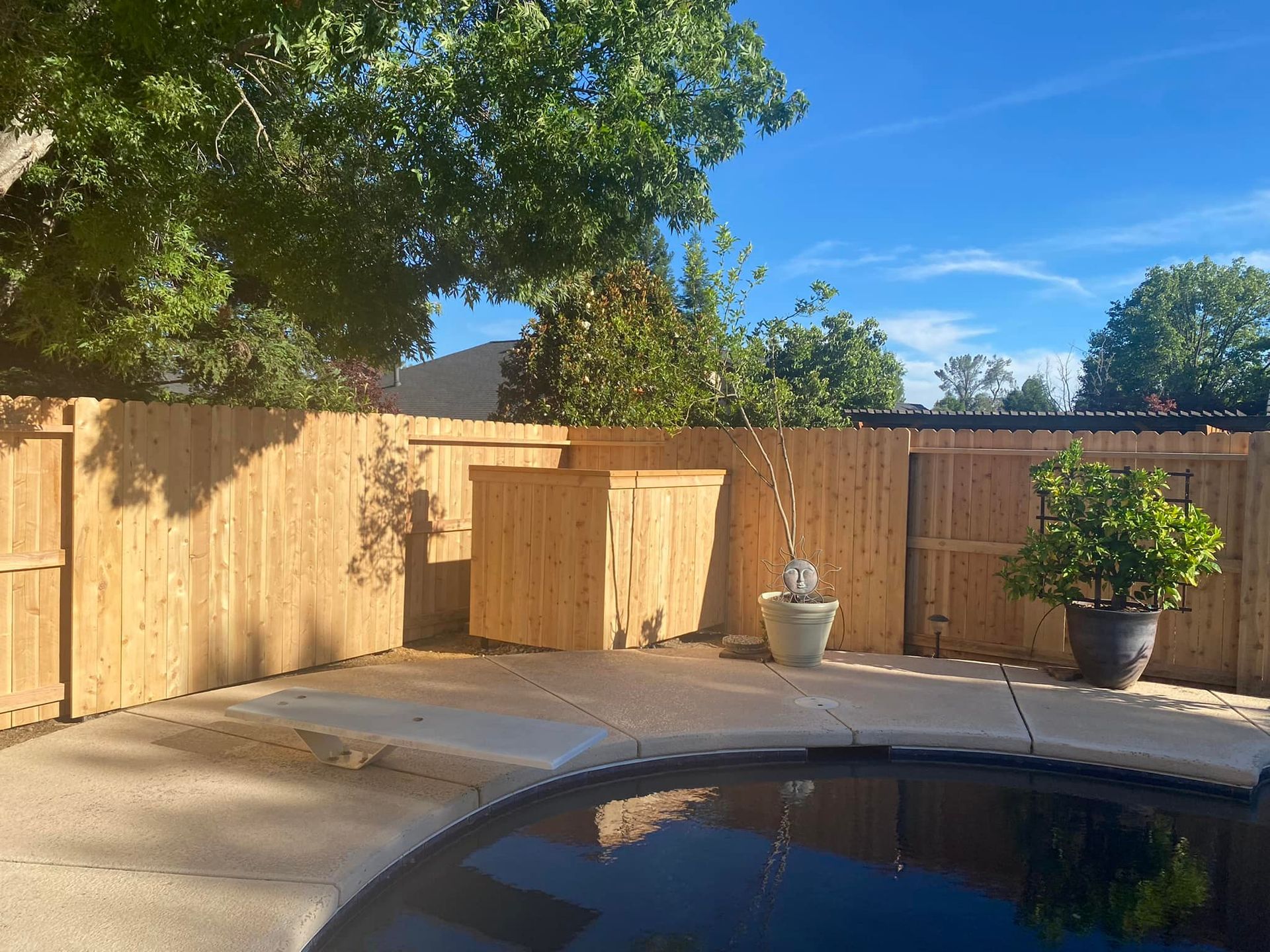 Backyard pool with tan deck, wooden fence, large tree, and potted plants under a blue sky