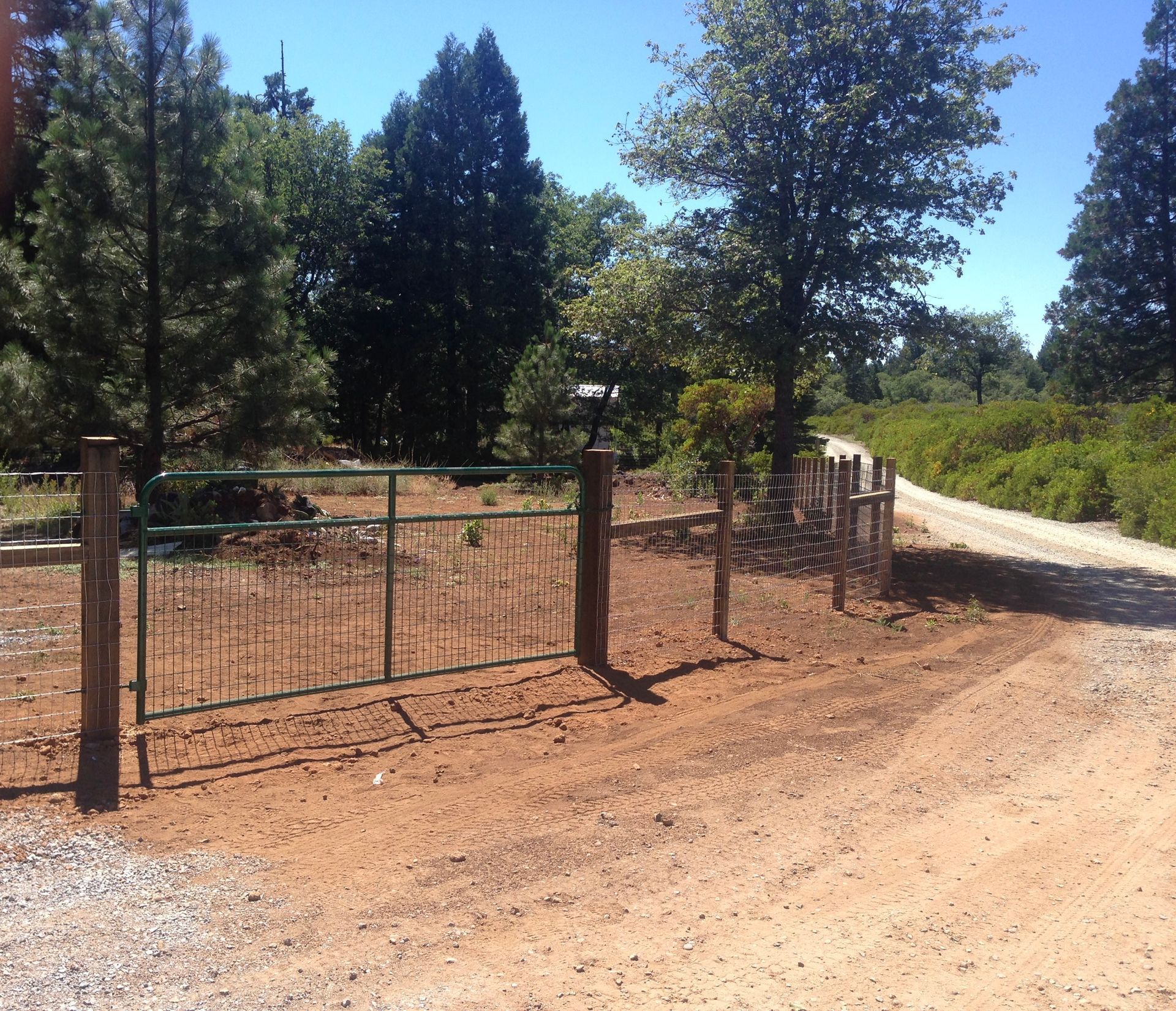 Rustic wire fence beside a dirt road, with trees and dry grass under a clear blue sky.
